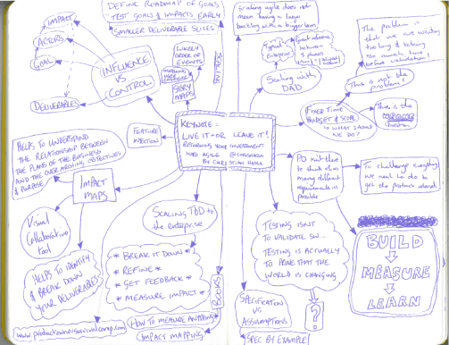 My notes from "Live It Or Leave It - Returning Your Investment Into Agile"